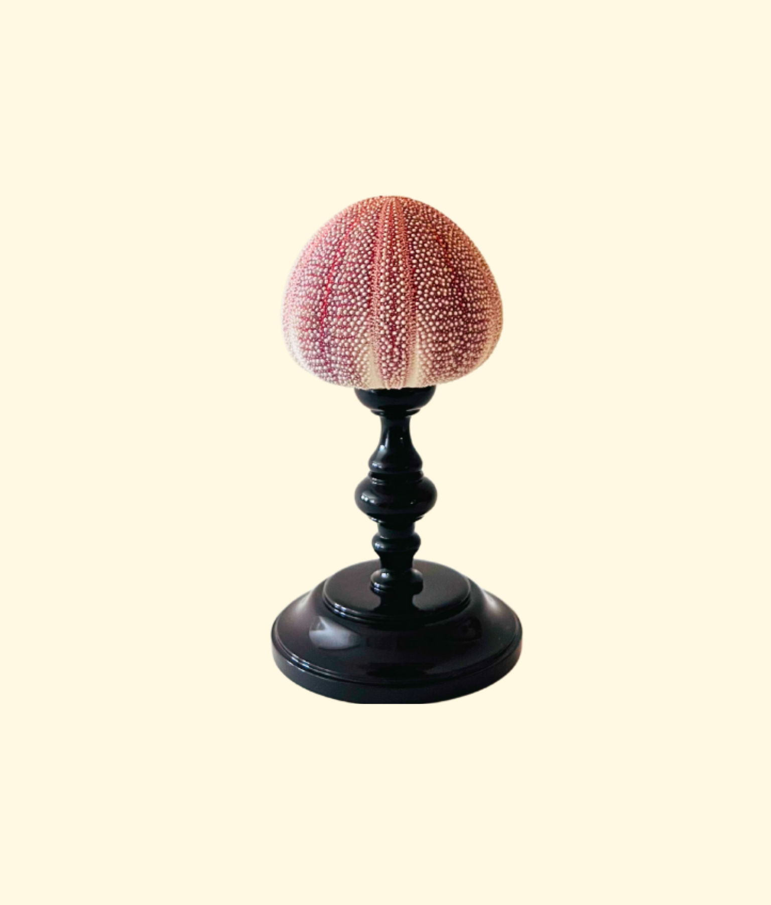 Noto Lacquered Sea Urchin Object, Marrone