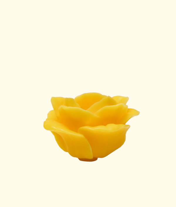 Rose Candle, Canary