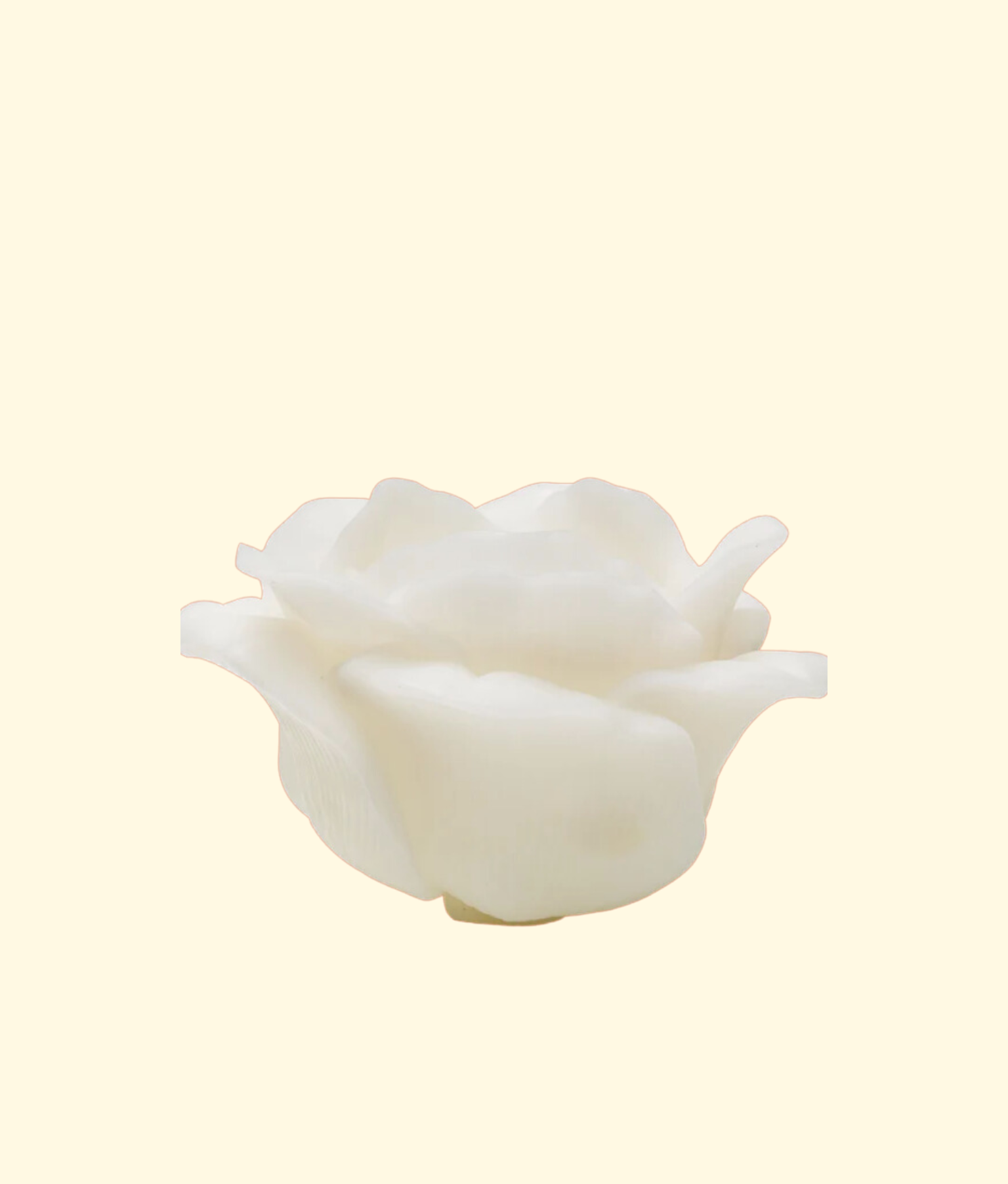 Rose Candle, White