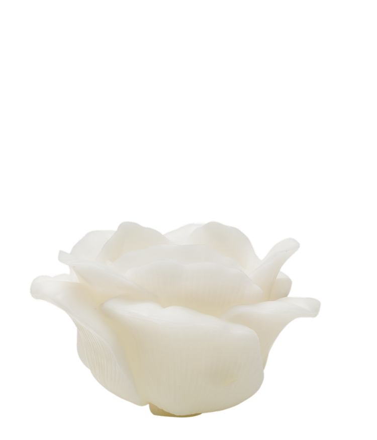 Rose Candle, White