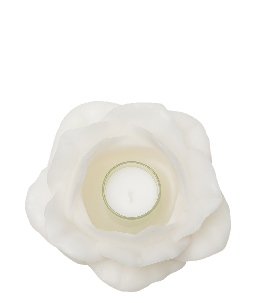 White, Rose Candle