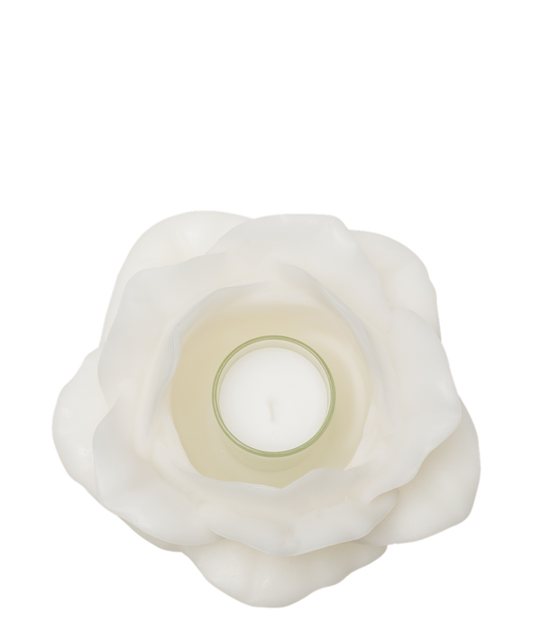 Rose Candle, White