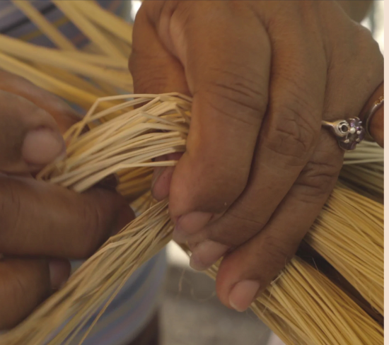  Iraca palm leaf