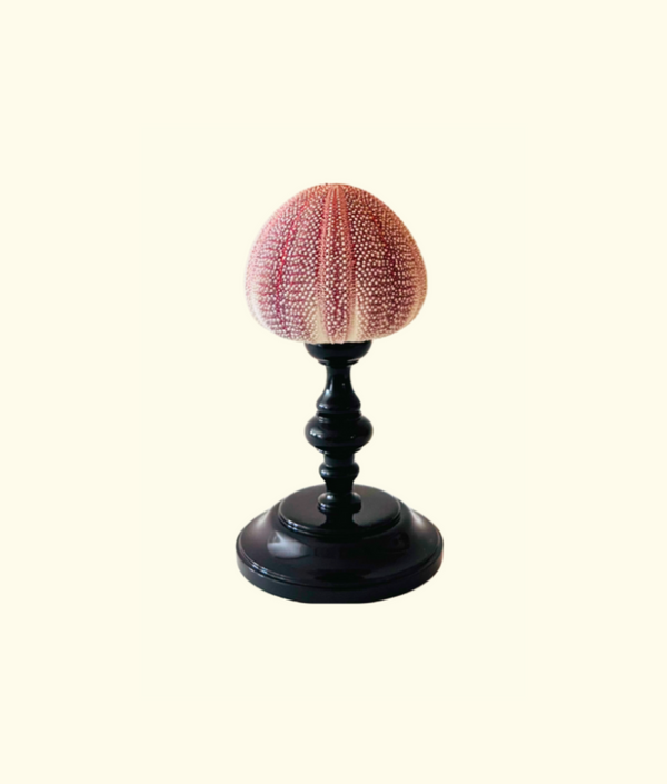 Noto Lacquered Sea Urchin Object, Marrone